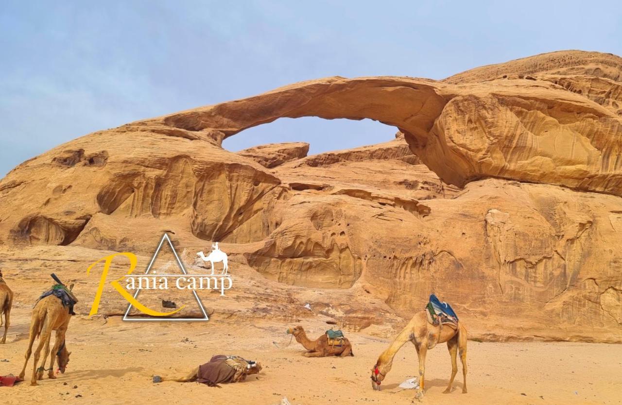 Wadi Rum,Rania Camp Buitenkant foto
