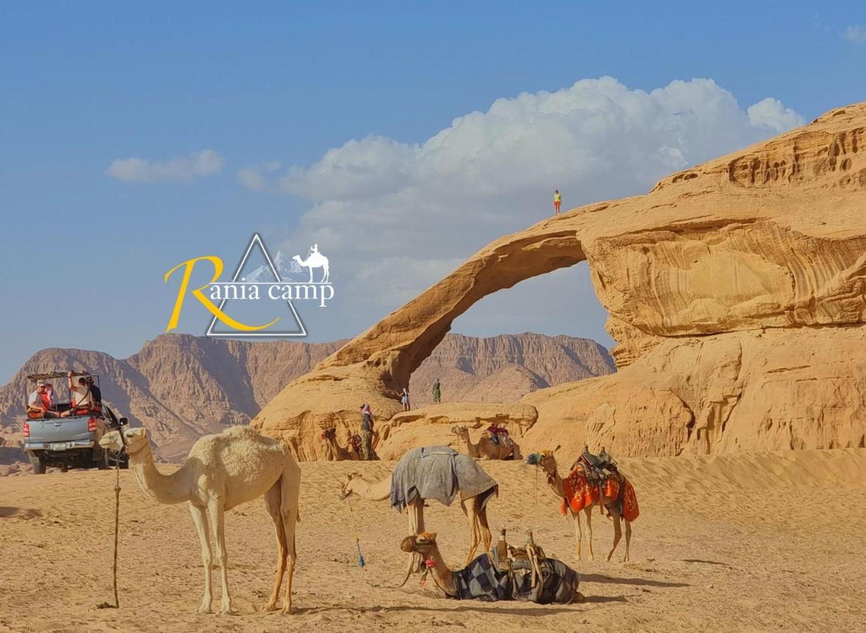 Wadi Rum,Rania Camp Buitenkant foto